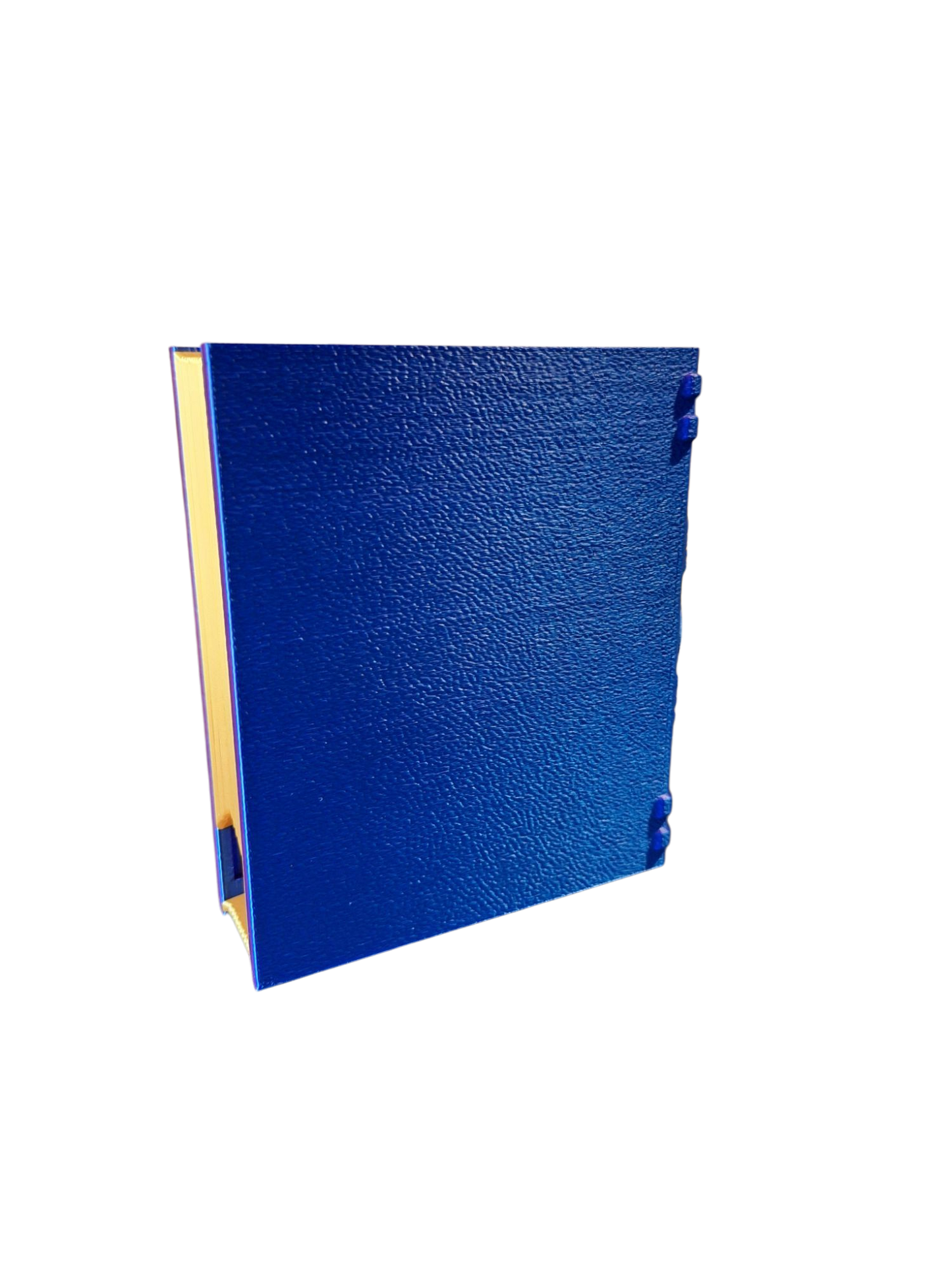 Bard Storage Tome by Fate's End