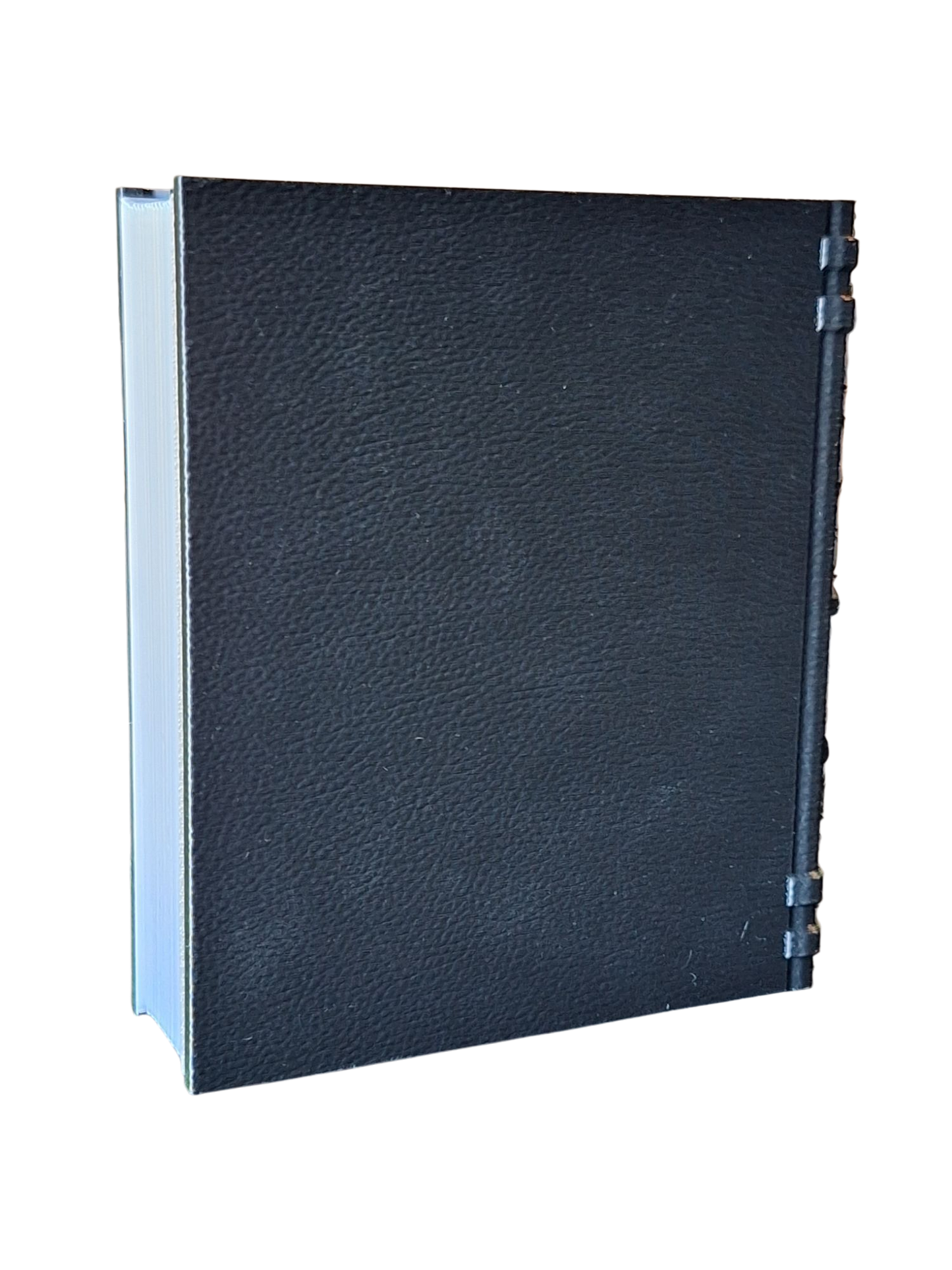 Spider Dice Tome by Fate's End