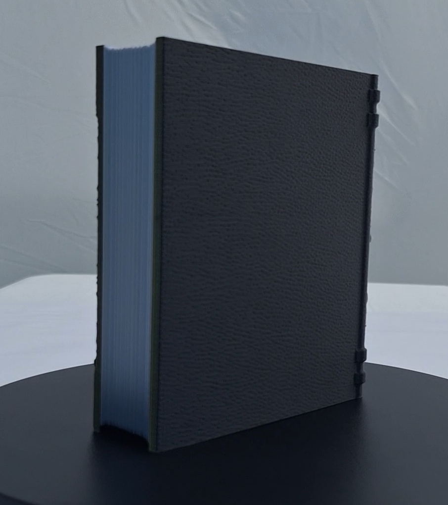 Spider Dice Tome by Fate's End